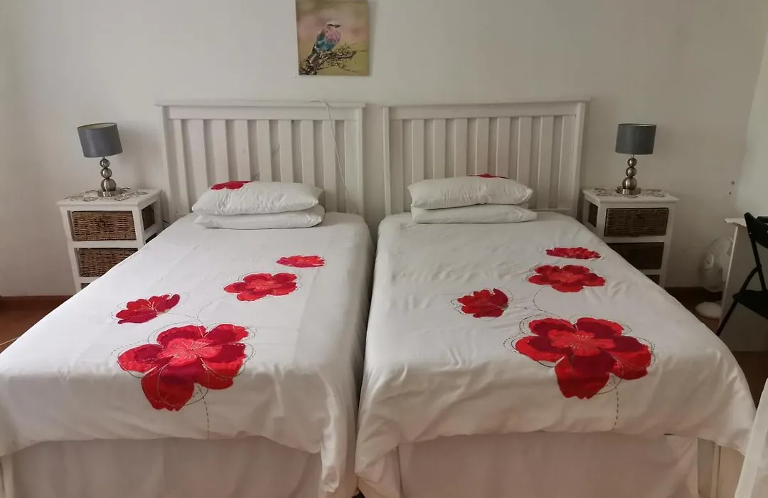 Palm Tree Bnb-1